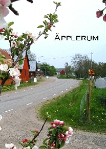 Applerum_ bokens framsida m bild av Lena Asenius_web.jpg